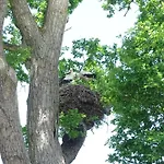 Otel Alte Fischerkate