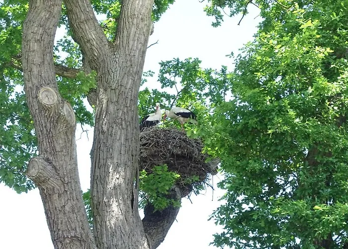 فندق Alte Fischerkate