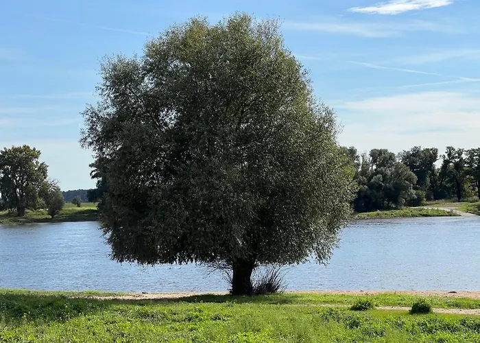 فندق Alte Fischerkate 3*